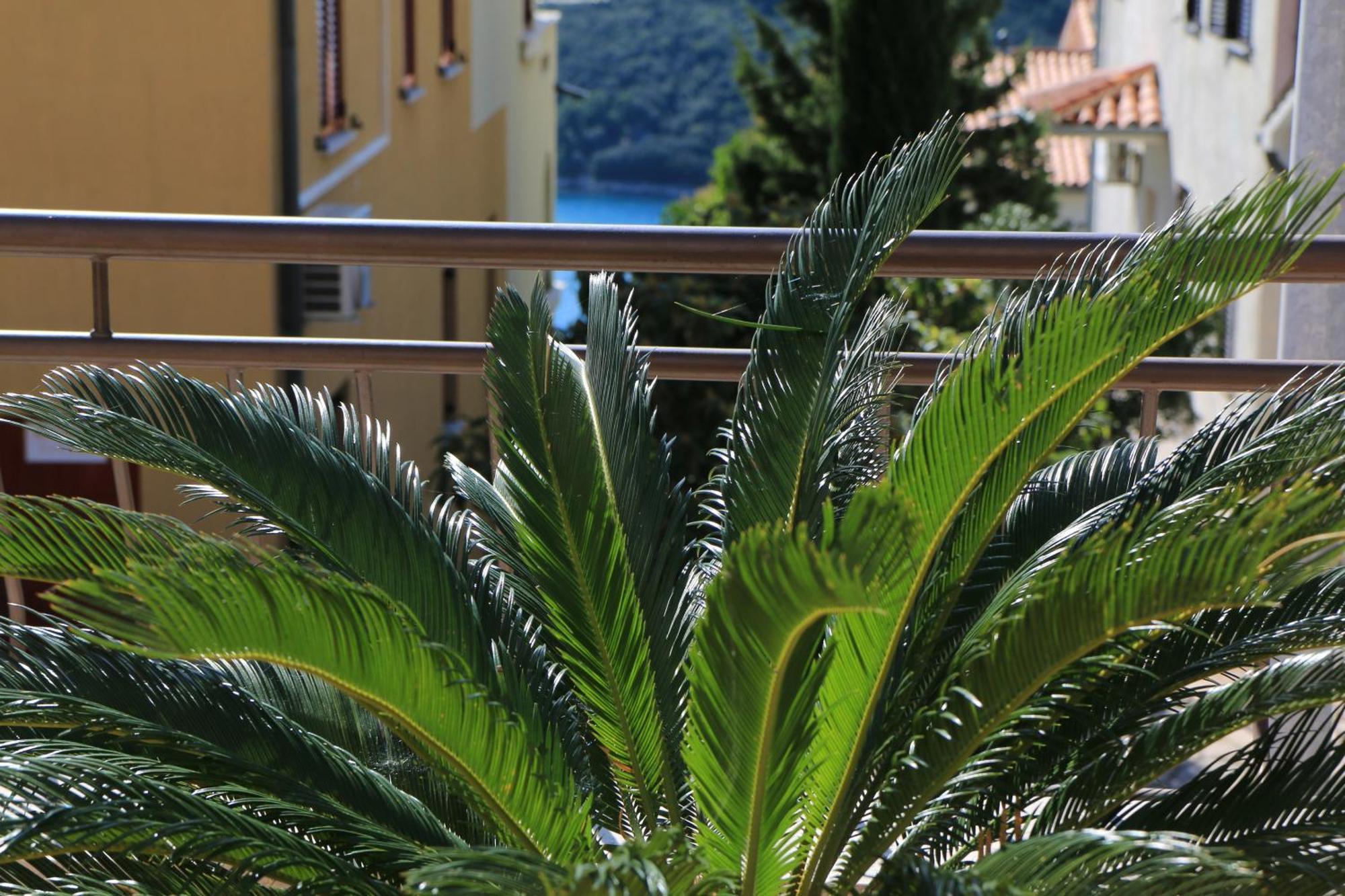 Apartments With A Parking Space Rabac, Labin - 7429 Екстериор снимка